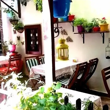 Antikhan Ayvalı